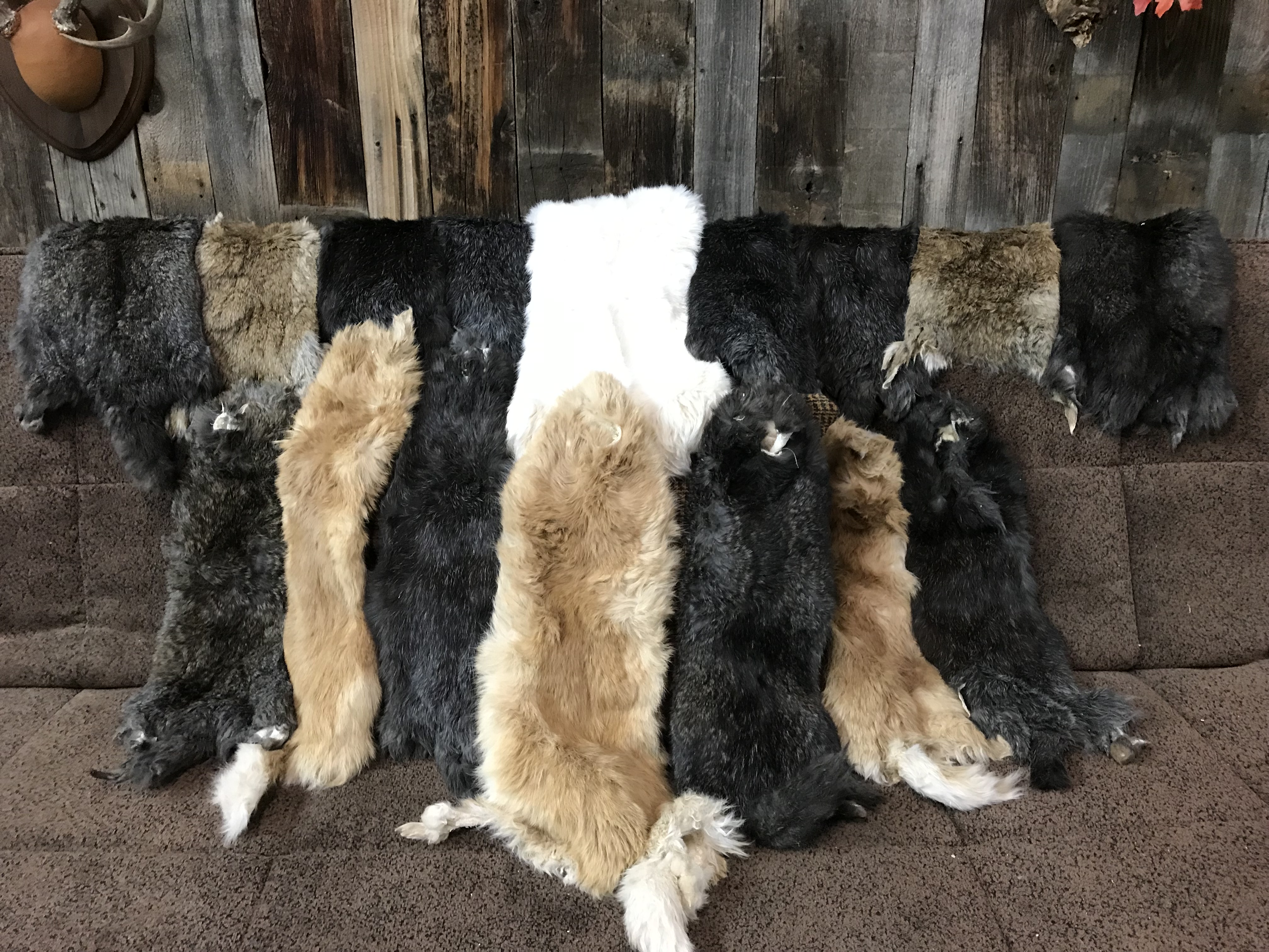 Rabbit Pelts