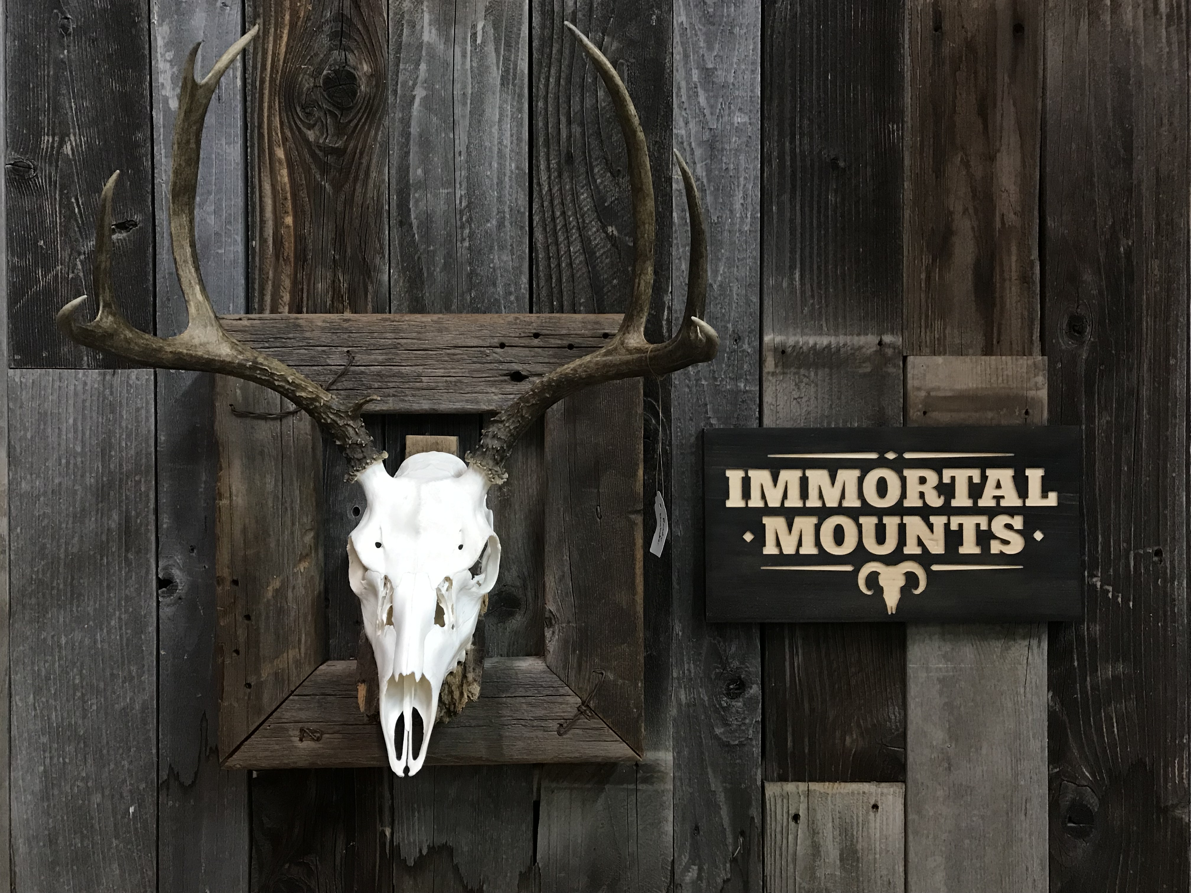 European Mount 5