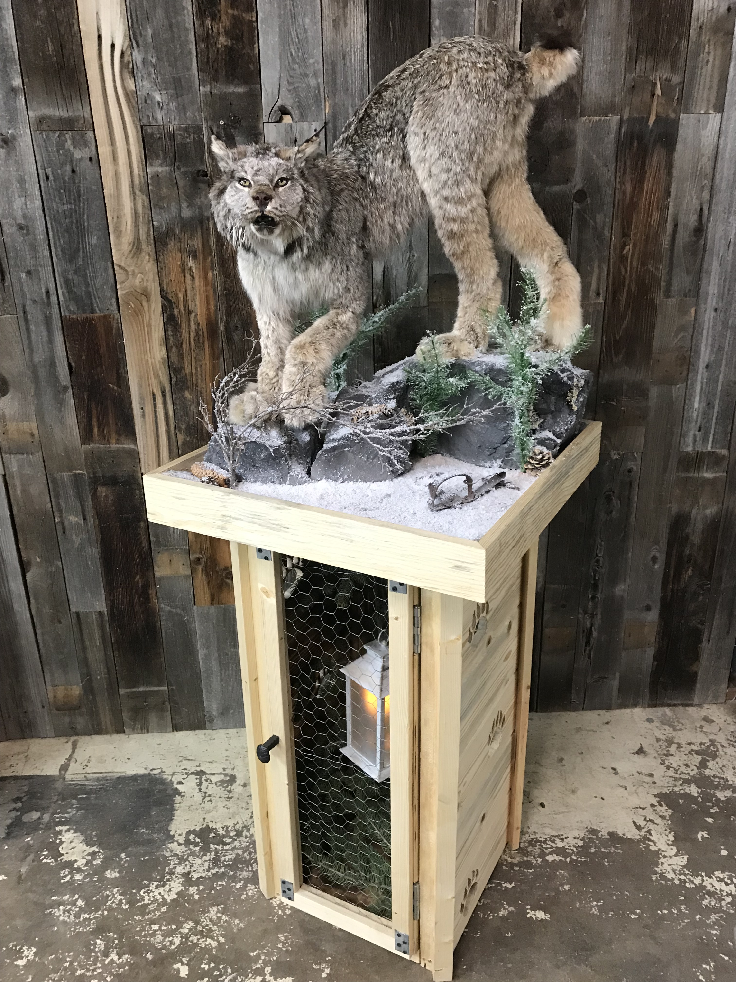 Bobcat stand 3